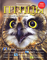 http://mmedia.ozon.ru/multimedia/books_covers/1002703696.jpg